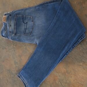 American Eagle Classic High Rise Skinny Jeans Size 10 Long